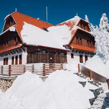 Madarasi Gyopár Panzió Acomodação com café da manhã Izvoare  Exterior foto