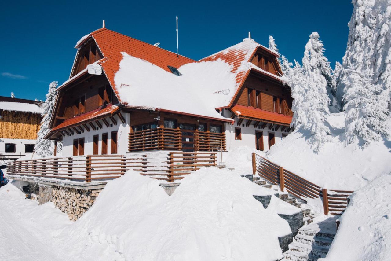 Madarasi Gyopár Panzió Acomodação com café da manhã Izvoare  Exterior foto